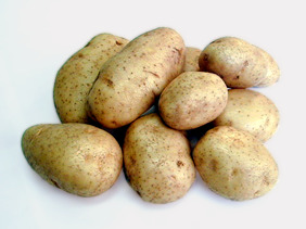 GIE TANNA INN ( POMME DE TERRE )