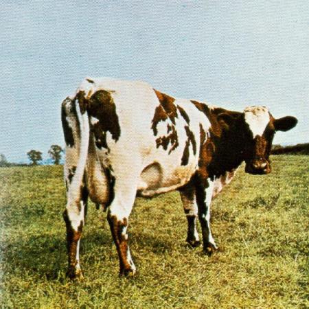 GIE TANNA INN ( VACHE )