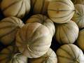 GIE TANNA INN ( MELONS )